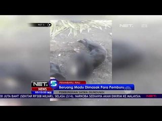 Beruang Madu Dijerat & Ditembak-NET5