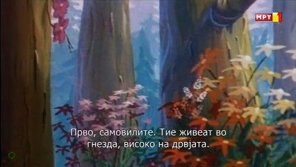 Petar Pan-  Petter Pan