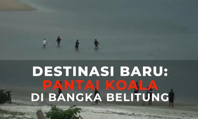Destinasi Baru: Pantai Koala di Bangka Belitung