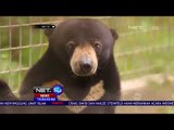 Konservasi Beruang Madu Samboja-NET10