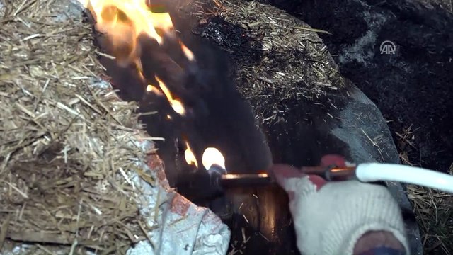 Çiftçilerin zirai don nöbeti - ERZİNCAN