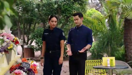 Neighbours 7812 3rd April 2018 | Neighbours 3rd April 2018 | Neighbours 03 04 2018 |