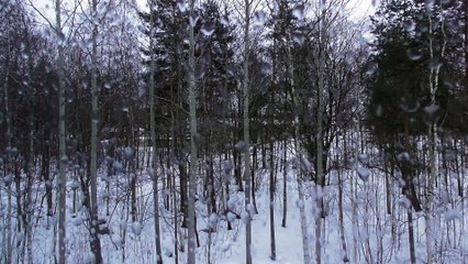 Apr 4 2018 DL1