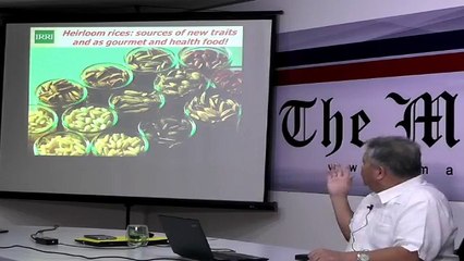 Roundtable with Dr. Bruce J. Tolentino of International Rice Research Institute