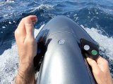 Un appareil qui permet de nager au milieu des dauphins