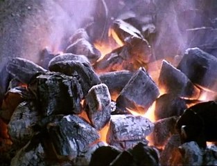 the ascent of man. Episode 04. The Hidden Structure