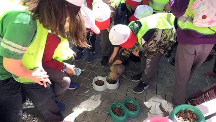 4 Nisan Dünya Sokak Hayvanları Günü - GAZİANTEP