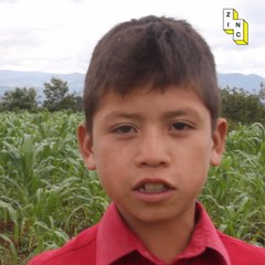 Guatemalan Bottle School