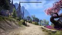 The Elder Scrolls Online: Tamriel Unlimited - 25 minuti di gameplay - Summerset