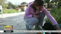 Grecia: Filozoikós, el refugio canino más grande del país
