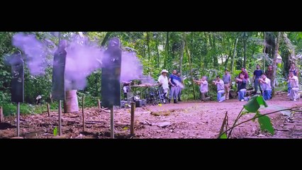 THCF - Rec (official video visuals)