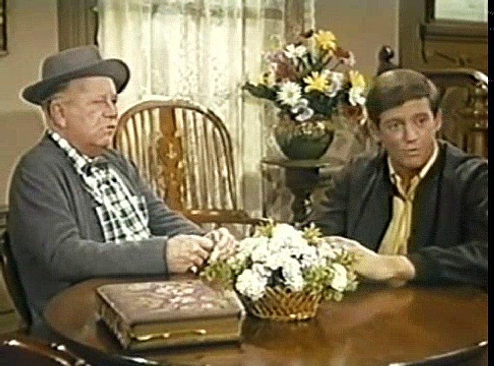 Petticoat Junction S06E06 Wings