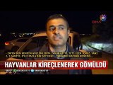 İstanbul'da Hidrojen Siyanür alarmını haber yapan muhabirler hastanelik oldu