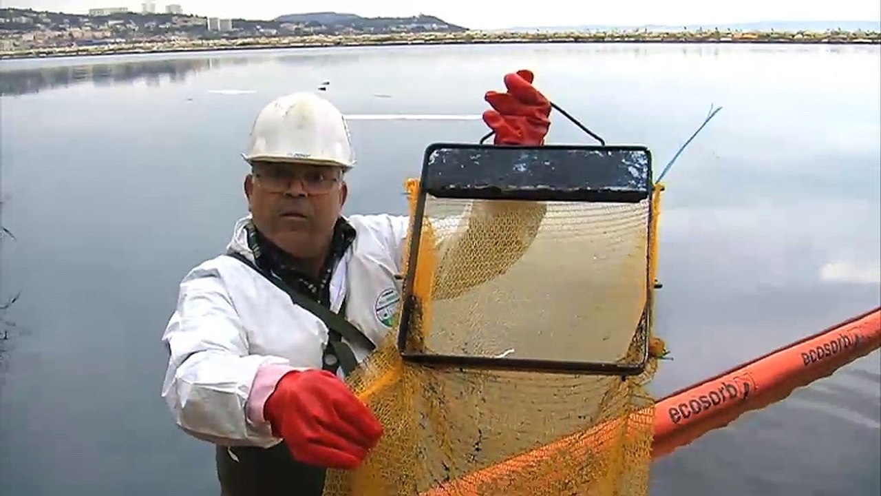 LA QUOTIDIENNE - LE JT : La Quotidienne - Le JT 31 01 18