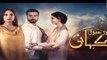 Teri Meri Kahani Episode #13 HUM TV- Drama- 04 April 2018 - dailymotion