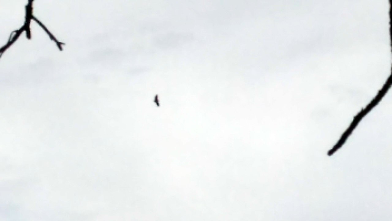 VID_20180405_171856.mp4