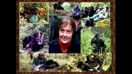 Souvenir-Souvenir Bonus (2) Hommages-Tributes