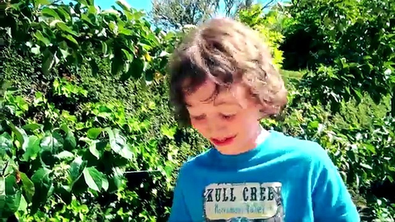 Hot Wheels | Especial Pista Skate Steve Caballero Hot Wheels