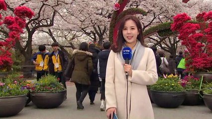 [날씨] 오늘 '꽃샘추위' 절정...중부 한때 비 / YTN