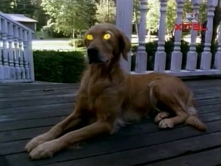 Goosebumps S01E17 A Night İn Terror Tower Part Iı
