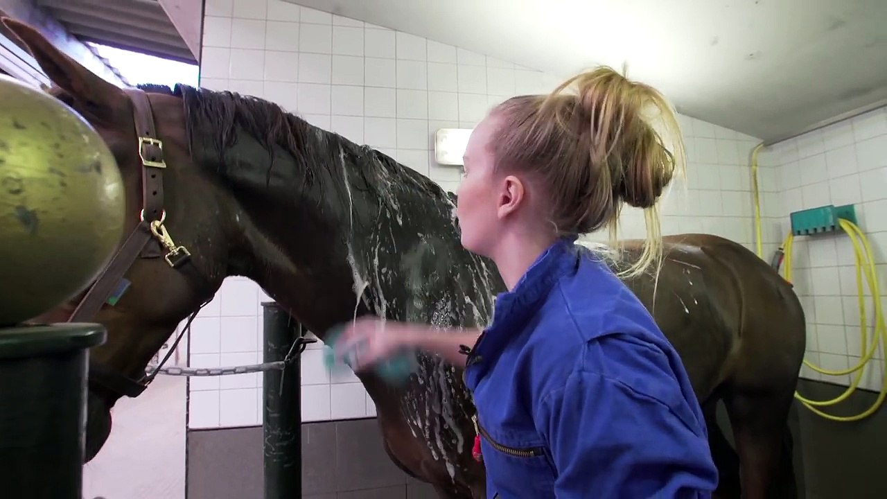 Halloween krijgt een voorjaarwas + winactie | PaardenpraatTV