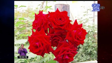 Embajador de Brasil reafirmó relaciones comerciales con el vecino país