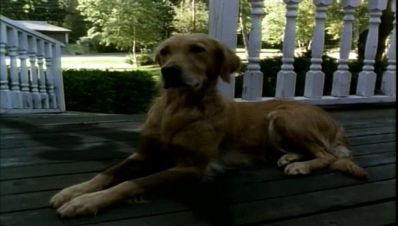 Goosebumps S01E03 The Cuckoo Clock Of Doom