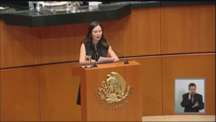 Senado mexicano solicita al Gobierno suspender la cooperación bilateral con EE.UU. -