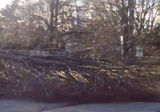High Winds Bring Down Trees and Power Lines in South Brunswick
