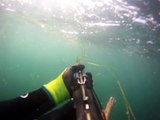 Guy Attacked by Shark While Spearfishing