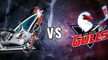 AHL San Diego Gulls 0 at San Jose Barracuda 4