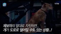 [영상] 레커차 뒤 칸에 개 묶어두고 질주···'위험천만' / YTN