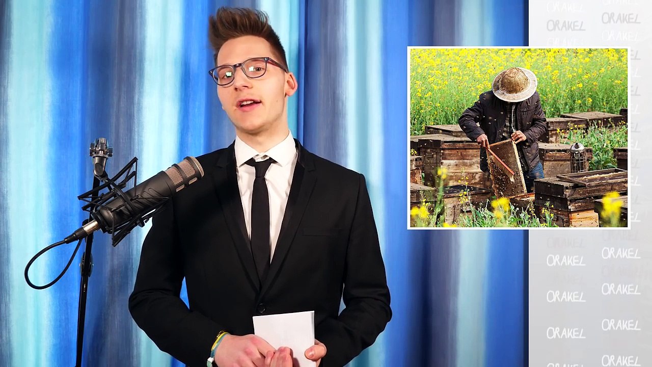 Freshtorge muss lustig werden - Orakel