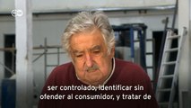 Conciencia Sur: Legalización de la marihuana en Uruguay (29.08.2017)