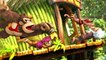 Donkey Kong Country : Tropical Freeze - Trailer de gameplay