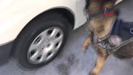 Gaziantep-Hafif Ticari Araçta Uyuşturucu ve 11 Silah Ele Geçirildi