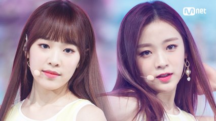 청순 러블리 ′에이프릴′의 ′파랑새′ 무대