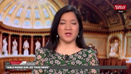 Table ronde sur les "fake news" - Les matins du Sénat (05/04/2018)