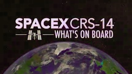 SpaceXs CRS-14 Mission to the Space Station Whats On Board