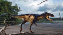 Plantas tóxicas influyeron en extinción de dinosaurios