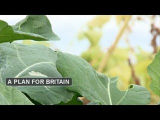 UK eyes green belt for growth | A Plan For Britain