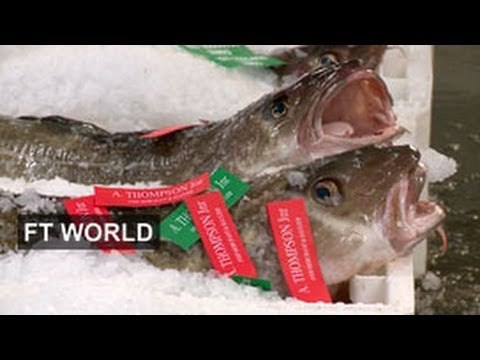 EU fisheries navigate stormy seas