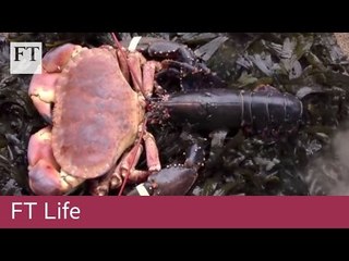 How to... cook a lobster in a wheelbarrow | FT Life