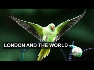 Careers in London too good to pass up | London and the World