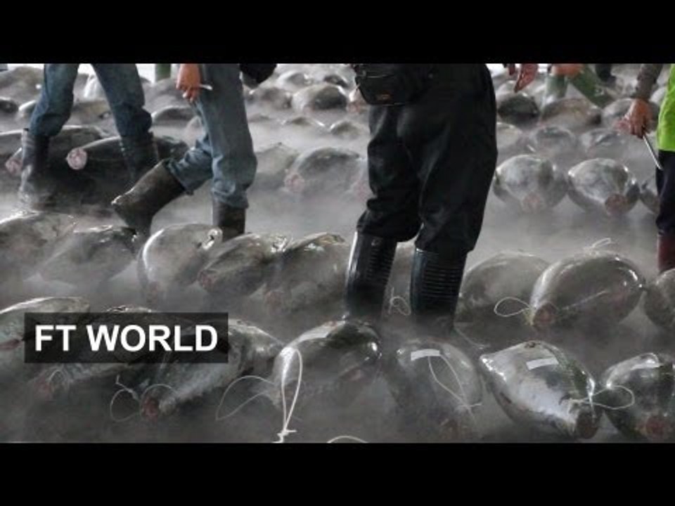 Taiwan's fishermen buffeted by politics | FT World
