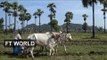 Myanmar struggles to protect land rights