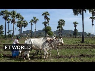 Myanmar struggles to protect land rights