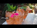 The plants behind great cocktails