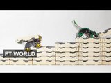 Termite robots build the future | FT World