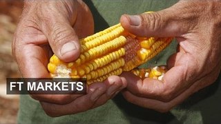 ADM on corn, wheat and ethanol